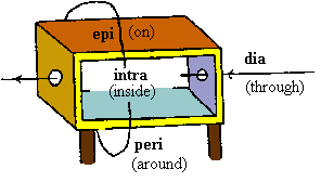 [diagram about the prepositions
  epi, intra, dia and peri]