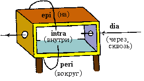 [diagram about the prepositions
  epi, intra, dia and peri]